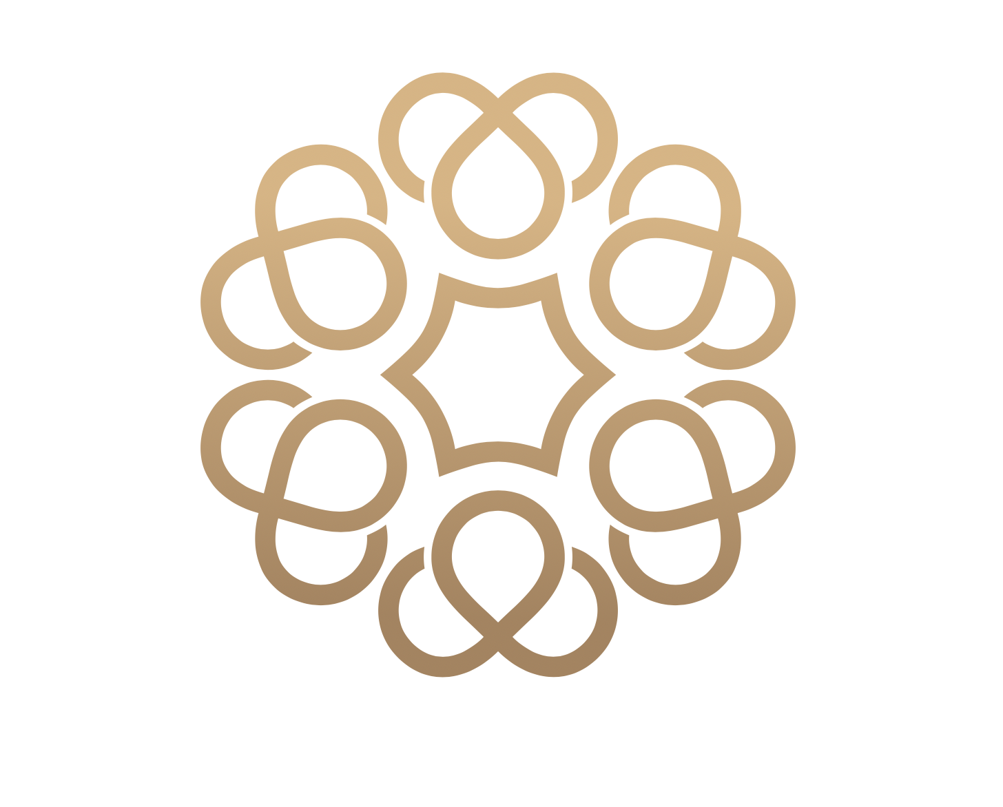 NGO directorate